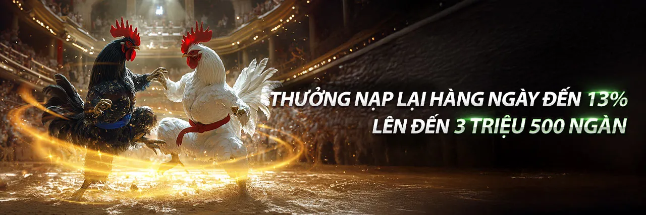 Hệ sinh thái trò chơi đa dạng tại b29bet
