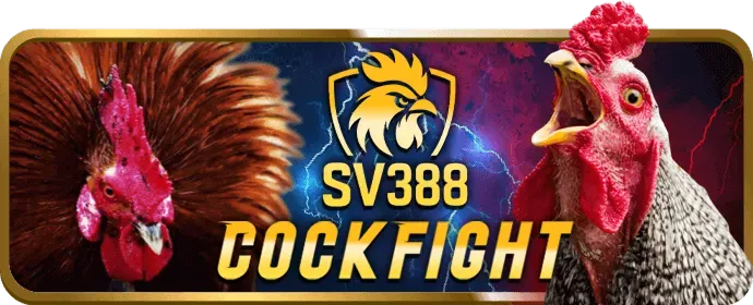 Sân đấu đá gà trực tuyến b29bet